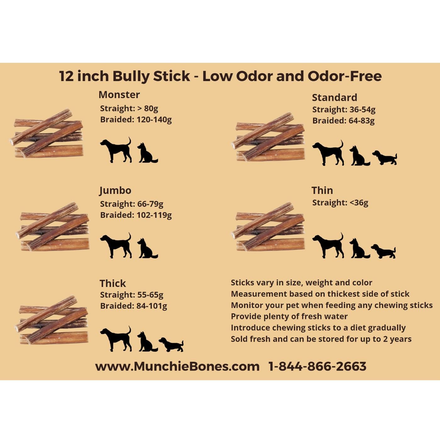 12"- Bully Stick - Low Odor - STANDARD (22pc)