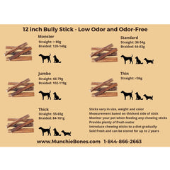 12"- Bully Stick - Low Odor - STANDARD (22pc)