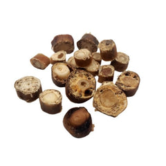 Cow Tail - Oxtail Slices