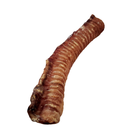 Beef Trachea - 12" (12 pc)