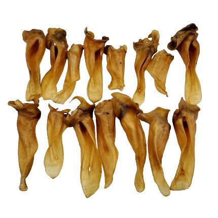 Lamb Ears