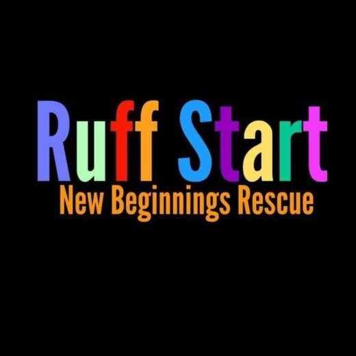 Rescue Helper - Ruff Start New Beginnings