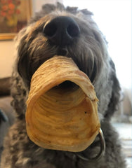 Beef Trachea - 6" (25 pc)