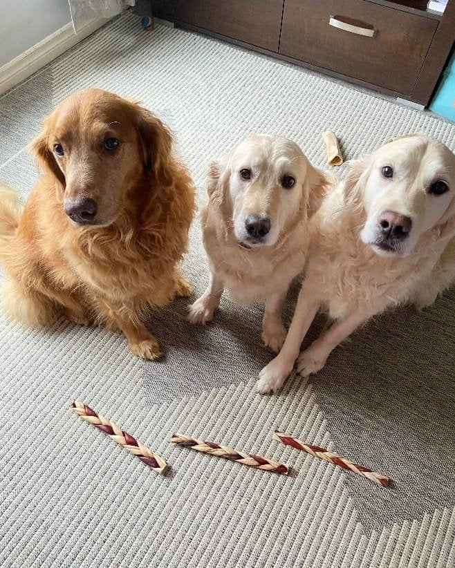 12"- Braided Beef Collagen Stick Brown/Natural (10 pc)