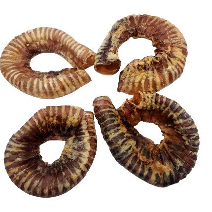 Beef Trachea Ring (10 pc)