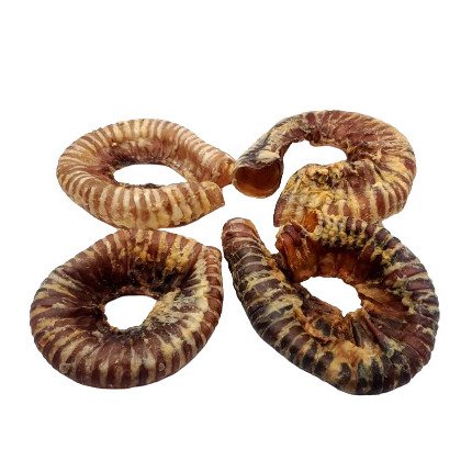 Beef Trachea Ring (10 pc)
