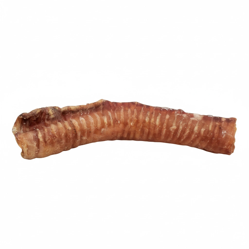 Beef trachea chews for dogs with sensitive stomachs - easily digestible